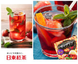 Nittoh Tea Instant Fruit Tea Bags 10sticks日東紅茶西班牙水果茶