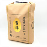 Uonuma Koshihikari Yuki Tsubaki Rice (Polished Short Grain Rice)11lbs/(5Kg)雪椿米