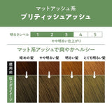 Kao Liese Creamy Bubble Hair Color- British Ash