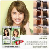 Kao Liese Creamy Bubble Hair Color- British Ash