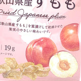 Zennoh Nippon Ale Wakayama Prefecture Dried Plum 19gX2bags李子乾