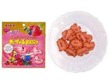 Ginbis Strawberry Tabeko Animal Chocolate Biscuit 40g