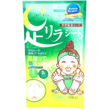 Nakamora Detox Foot Patch - Wormwood 2 Sheet 天然竹树液艾草足贴