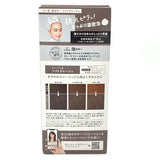 Kao Liese Creamy Bubble Hair Color- Soft Greige